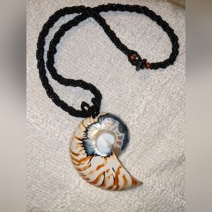 Nautilus shell necklace
